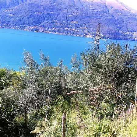 Bed & Breakfast B&B Poggio Solivo
