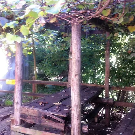 珀吉奥索里沃住宿加早餐旅馆 * 贝拉诺
